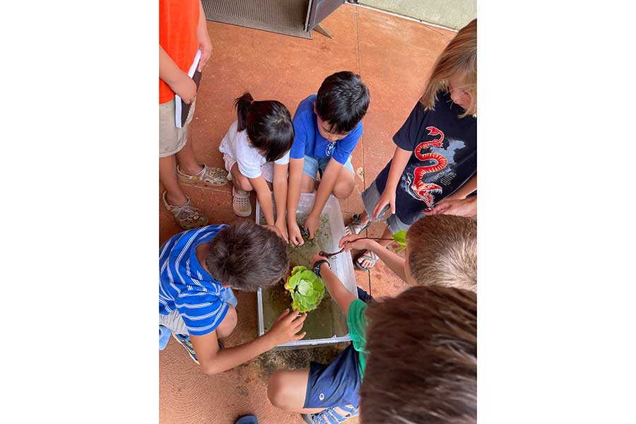 月に一度、植物園で開催される「植物・動物の生態を学ぶ会」。平日午前中クラスなので、ホームスクールを利用する児童向け【写真:i-know】