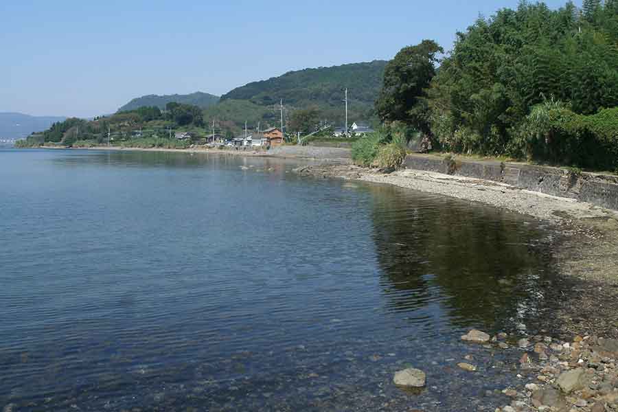 海で生き物を観察。出合った小さな命に感動（写真はイメージ）【写真：写真AC】