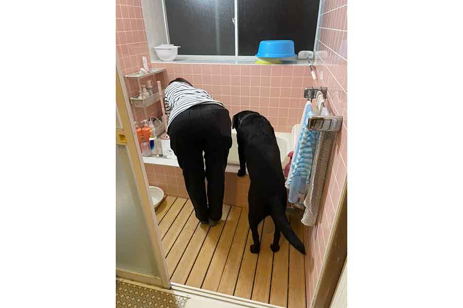 後ろ姿が“シンクロ”している飼い主さんと小梅ちゃん【写真提供：こうめ（@umekochanyo）さん】