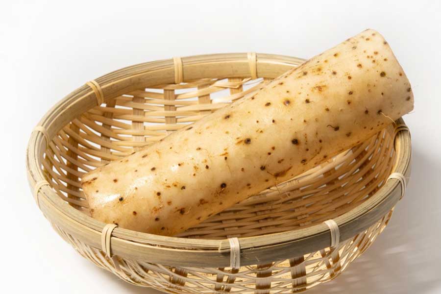 秋においしい長芋（写真はイメージ）【写真：写真AC】