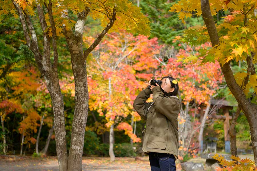 紅葉を見に行ったり、落ち葉を写真に撮ったりして愛でる日本人の感性に感動（写真はイメージ）【写真：PIXTA】