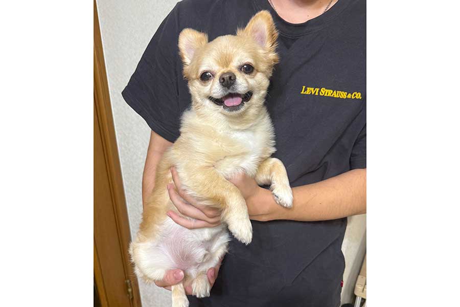 弟さんに抱っこされ、ニコニコ笑顔のてんくん【写真提供：てん（6）（@731ten）さん】