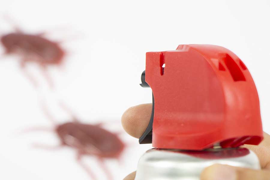 アメリカ人がゴキブリ退治のために必要だと感じた、日本の殺虫剤（写真はイメージ）【写真：写真AC】