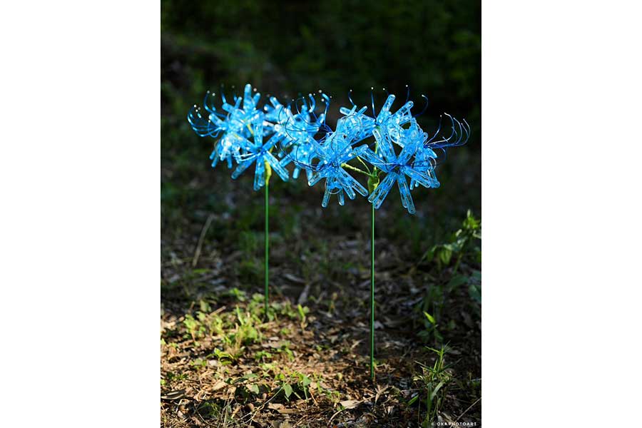 洗濯バサミで表現された青いヒガンバナ。淡い光が幻想的【写真提供:洗濯バサミフォトグラファー・岡本なう(@okaphotoart)さん】