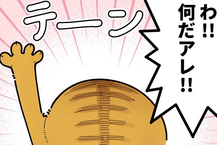 漫画のワンシーン【画像提供：も～（@mori2ta）さん】