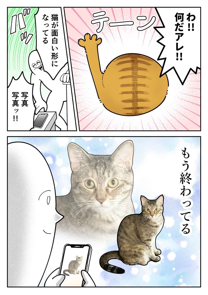 【画像提供：も～（@mori2ta）さん】