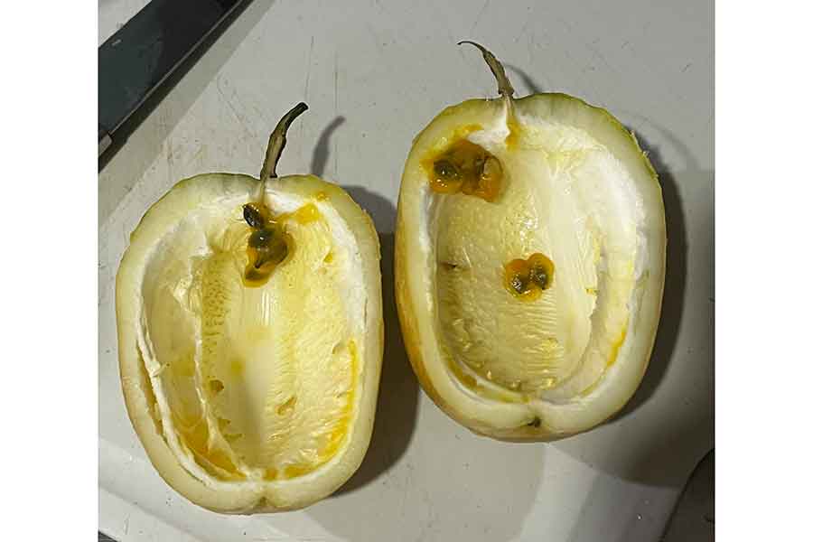 ぐるんさん夫婦がコロンビアの市場で買ったパッションフルーツ。中身が空っぽ……【写真提供：ぐるん/中南米縦断中（＠futsuu_03）さん】