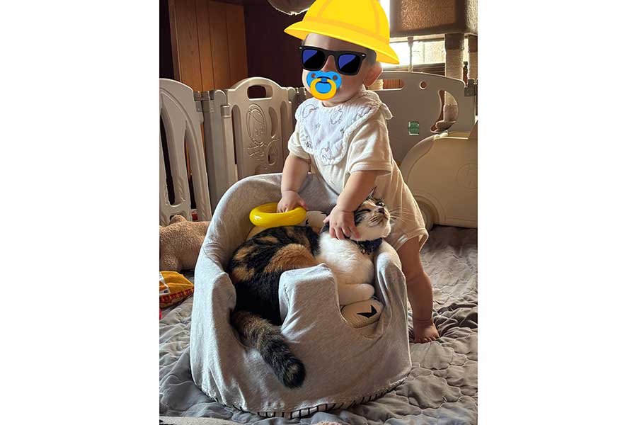 愛猫のせなちゃんを撫でる息子さん【写真提供：いのり（@dzdz_az）さん】