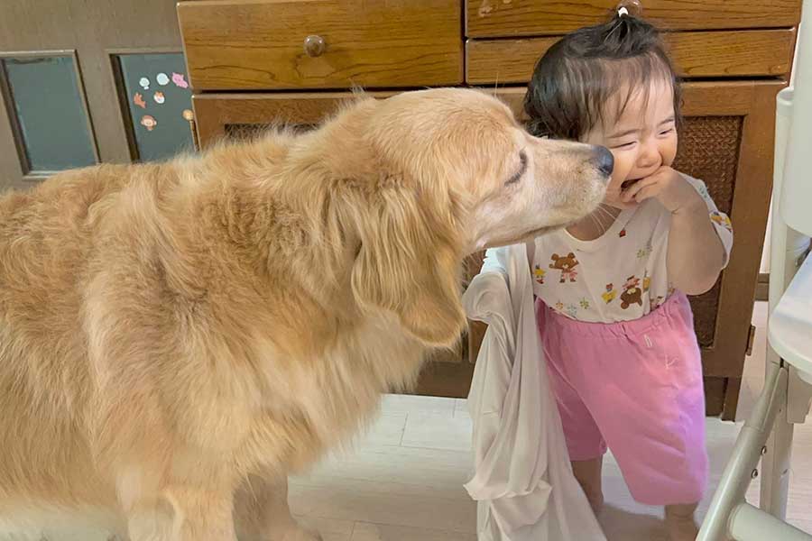 娘さんのことが大好きなおからちゃん【写真提供：豆柴うに＆ゴールデンレトリバーおから（@uni_okara0725）さん】