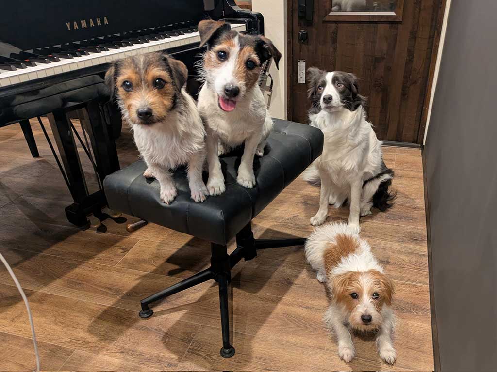 仲良く一緒に暮らす(左から時計回りに)エリちゃん、シャーロットちゃん、ペネロペちゃん、エリザベスちゃん【写真提供:複雑奇怪な浪速っ子(@yoshimitropp)さん】