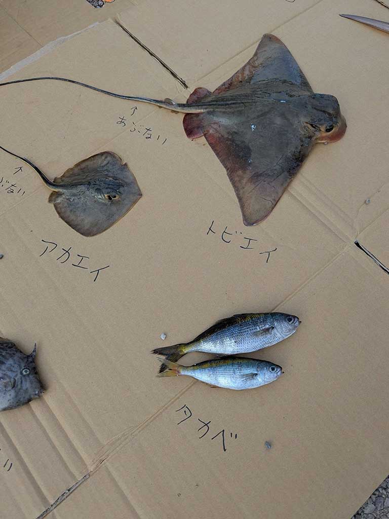 【写真提供：投稿者】