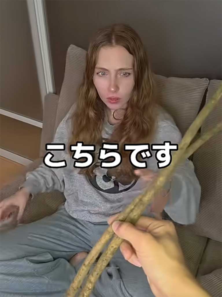 ゴボウを手渡されて怪訝な表情（スクリーンショット）