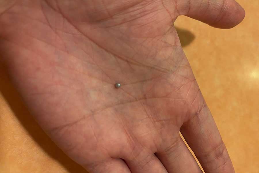 小さすぎる“お宝”にびっくり！【写真提供：樋廻（ひまわり）（@aoihyuga3）さん】