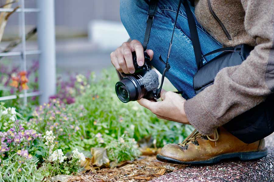 大切に育てた花に思わぬ奇跡が（写真はイメージ）【写真：写真AC】