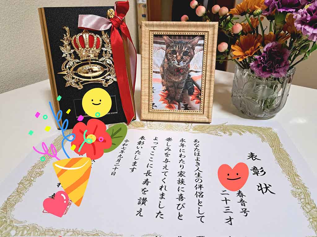 動物病院からもらった長寿の表彰状【写真提供：さくら（@tefu_tefu_cya）さん】