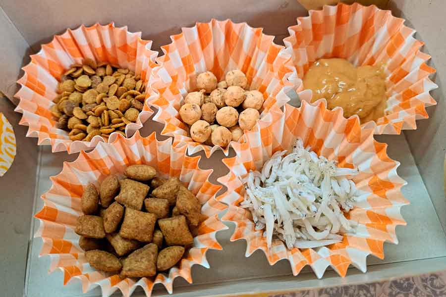 飼い主さんが春音ちゃんのために用意したお弁当【写真提供：さくら（@tefu_tefu_cya）さん】