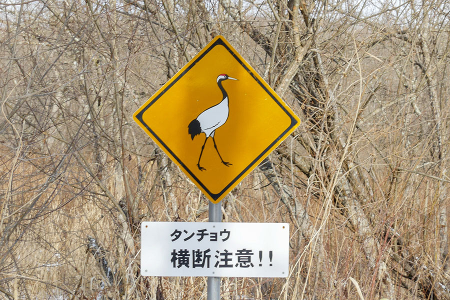 道路には「タンチョウ横断注意」の標識も(写真はイメージ)【写真:写真AC】