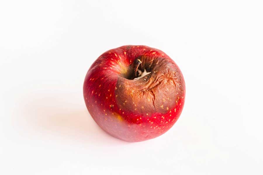 異臭がするもの、カビが生えているものは腐っているので食べないで！（写真はイメージ）【写真：PIXTA】