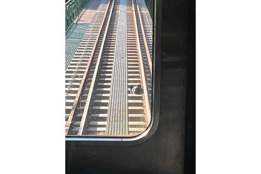 枕木の間から顔をのぞかせている様子も…【写真提供:らくらくだ(@rakuraku323)さん】