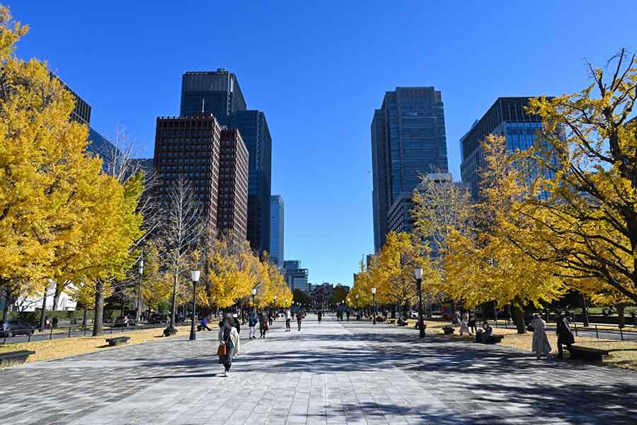 ビル群に隣接する公園には、静かな時間が流れる（写真はイメージ）【写真：PIXTA】