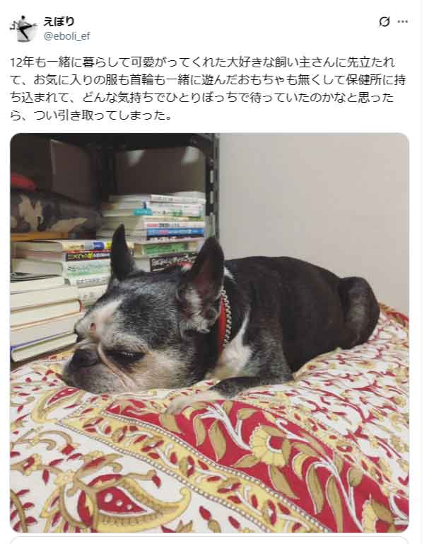 えぼりさんの愛があふれる投稿（スクリーンショット）