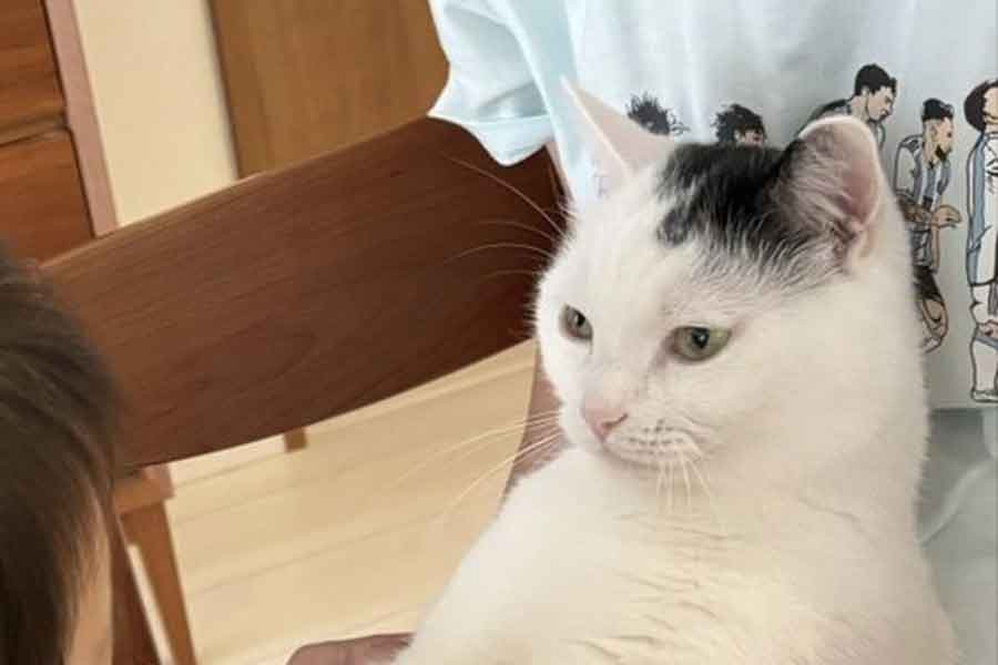 たけるくんがじっと見つめるその先には…【写真提供：まつもとたける（@takeru0321neko）さん】