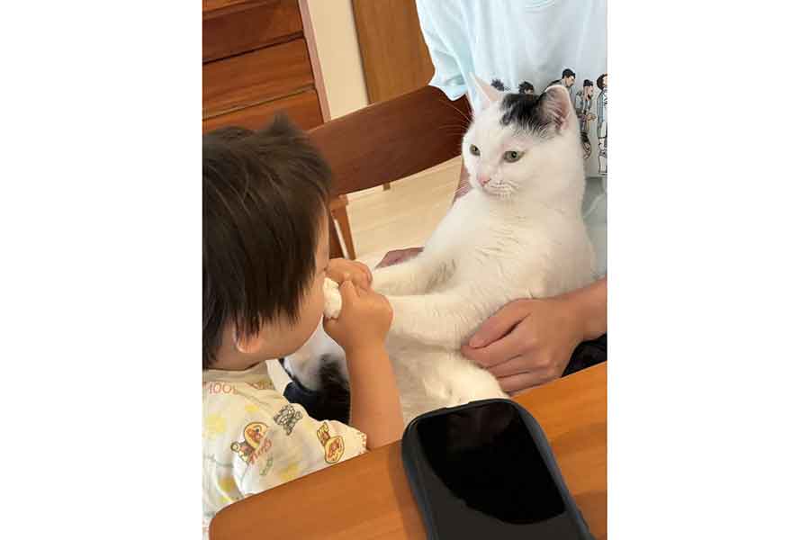 “ねこ吸い”する2歳の息子さんと、それを見つめるたけるくん【写真提供：まつもとたける（@takeru0321neko）さん】