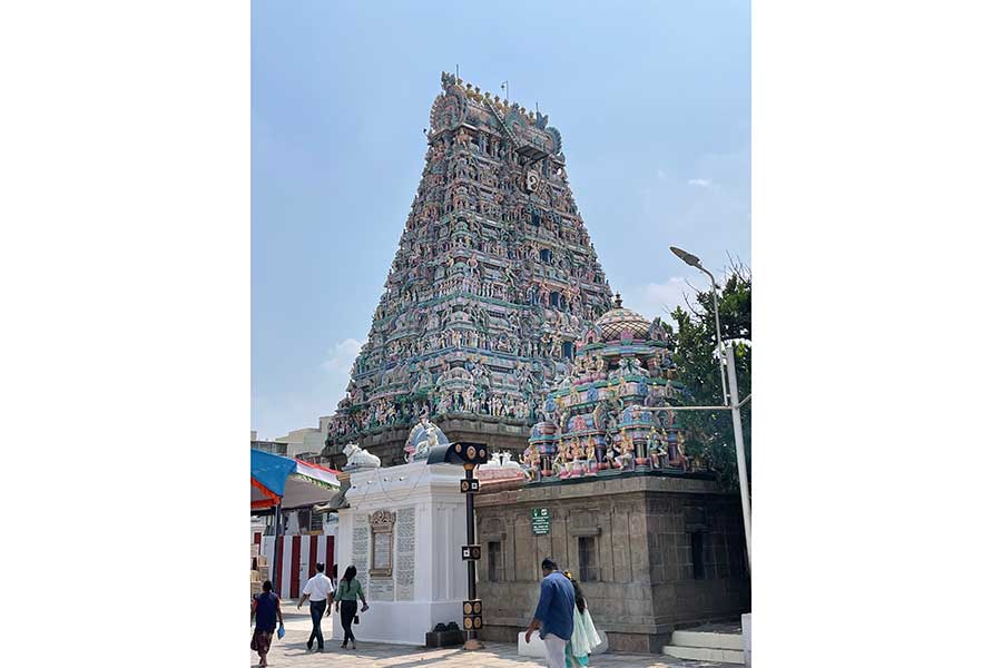 南インドでは、ヒンドゥー寺院の様式も異なる【写真:中谷秋絵】