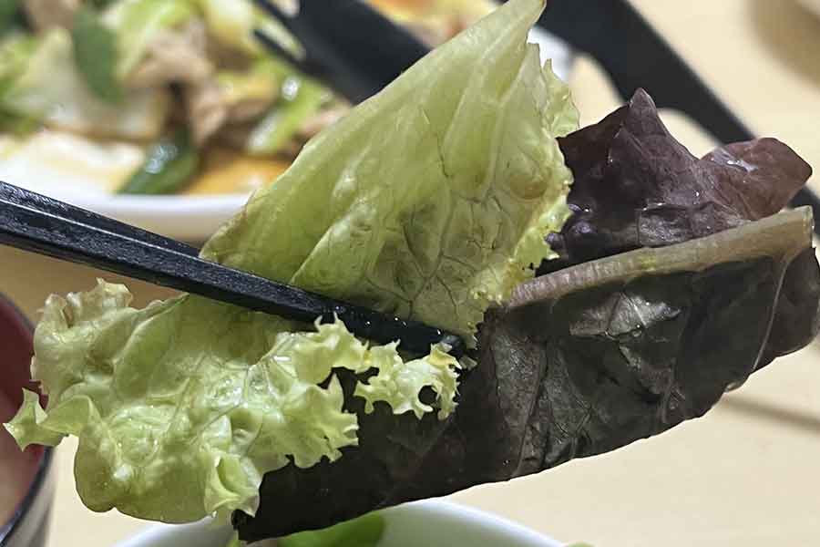 野菜をつかみやすく食べやすい箸（写真はイメージ）【写真：写真AC】