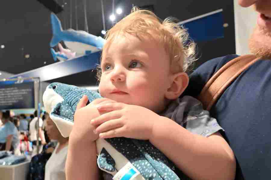 ジンベイザメのぬいぐるみを気に入ったエライジャくん（スクリーンショット）