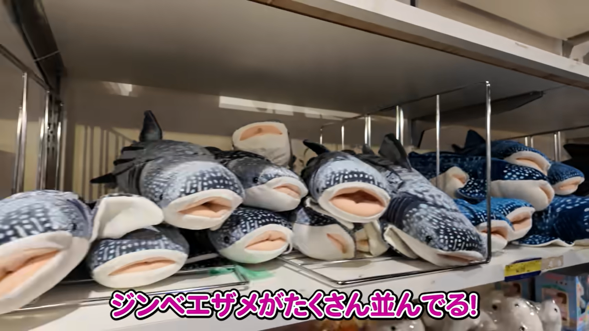 日本のお土産の豊富さにびっくり（スクリーンショット）