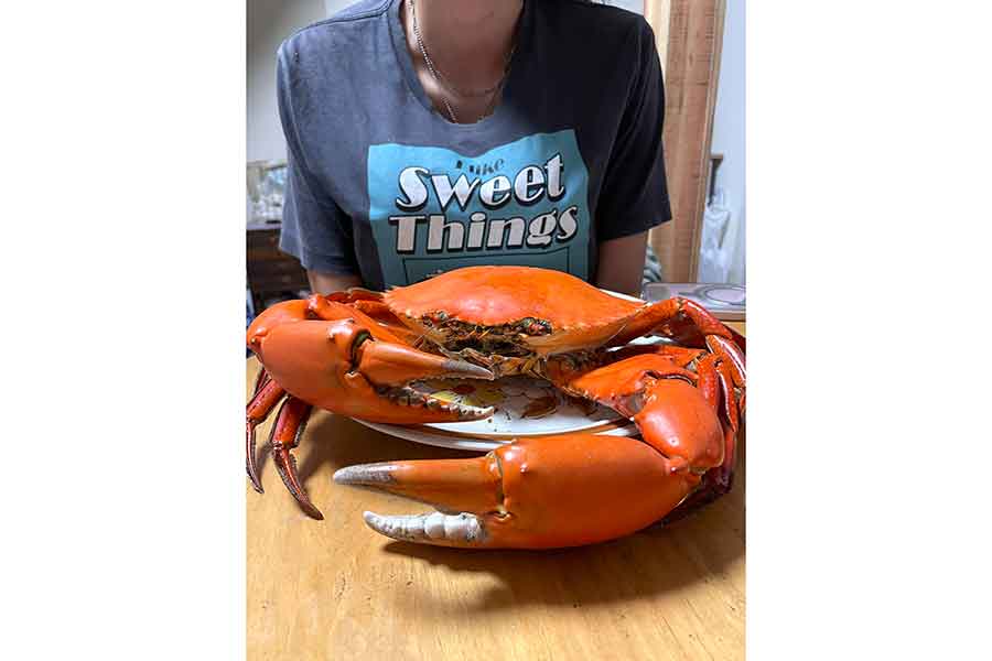 ゆで上げたノコギリガザミ【写真提供：Kelly（@A2113Y）さん】