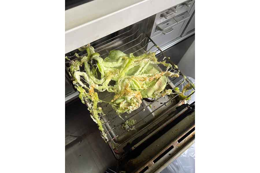 魚焼きグリルの中で大爆発したナスの衝撃的な姿【写真提供：雑種犬☆永遠（とわ）TOWA【公式】（@LovelyTowakun11）さん】