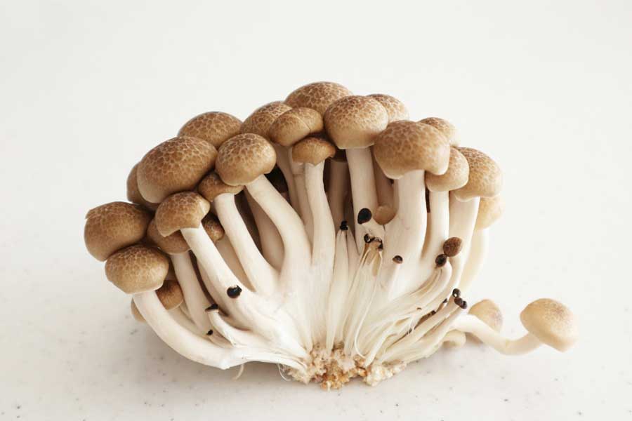 年中、店頭に並ぶブナシメジ（写真はイメージ）【写真：写真AC】