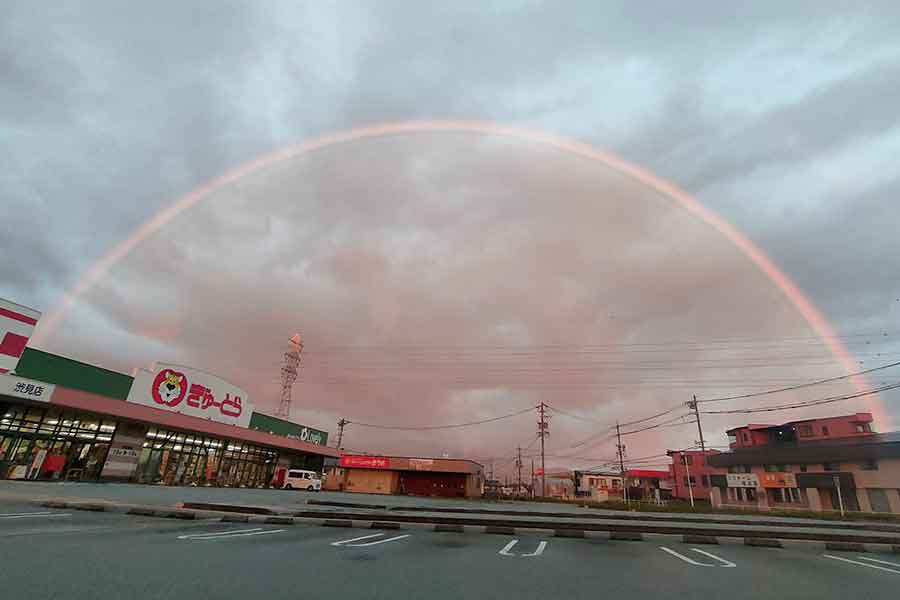 【写真提供：もりや農園（@hisatonbo）さん】