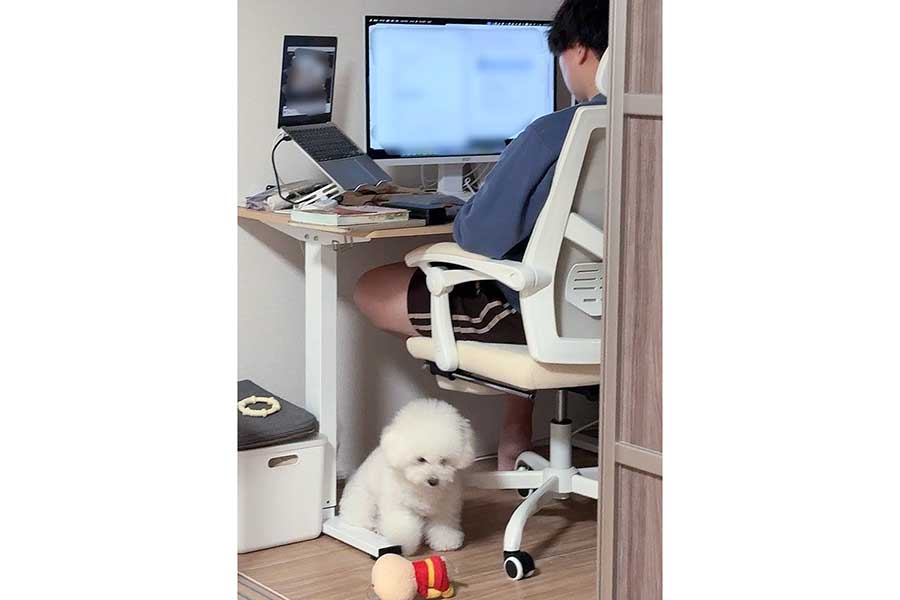 “パパ”に気づいてもらえず、しょんぼりするアポちゃん【写真提供：あぽちぃ（@apo_ro0923）さん】