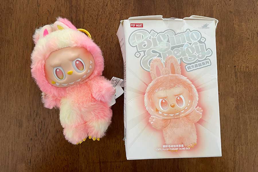 日本の2025年流行語大賞にノミネートされた、ラブブ。ハワイでも流行っていて、娘も購入したが、もう飽きている【写真：i-know】