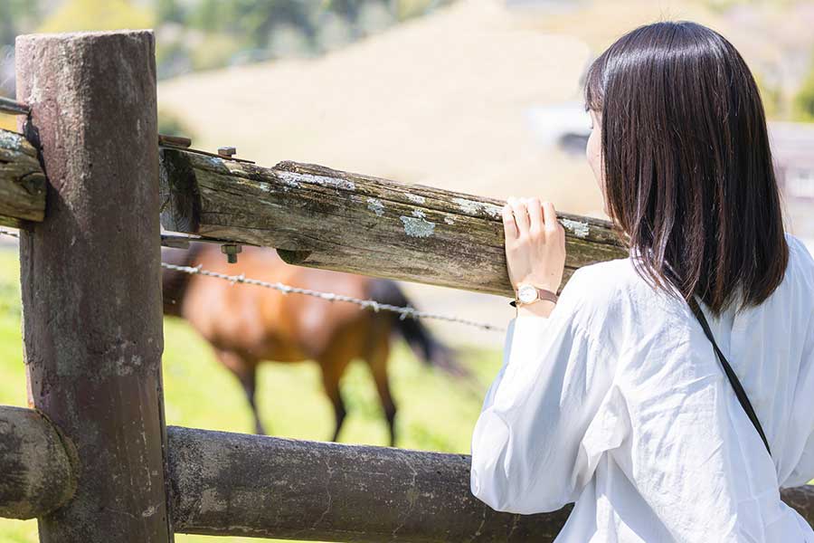 馬には近づきすぎず、距離を保って見学（写真はイメージ）【写真：PIXTA】