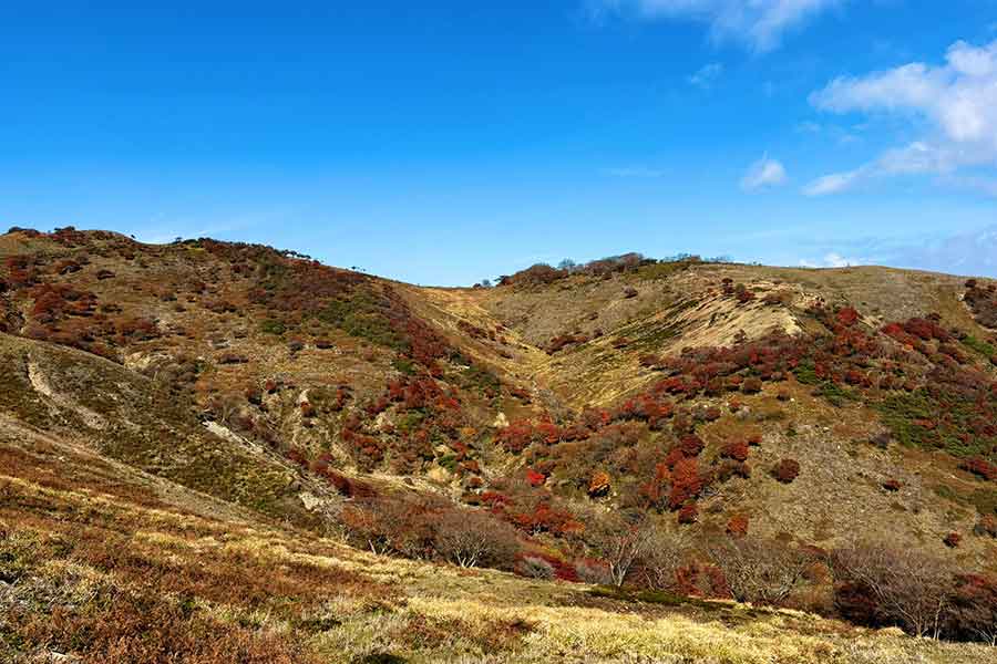 「赤い羊」と呼ばれる紅葉風景【写真提供:なの@山の記録(@bokka_lemon)さん】