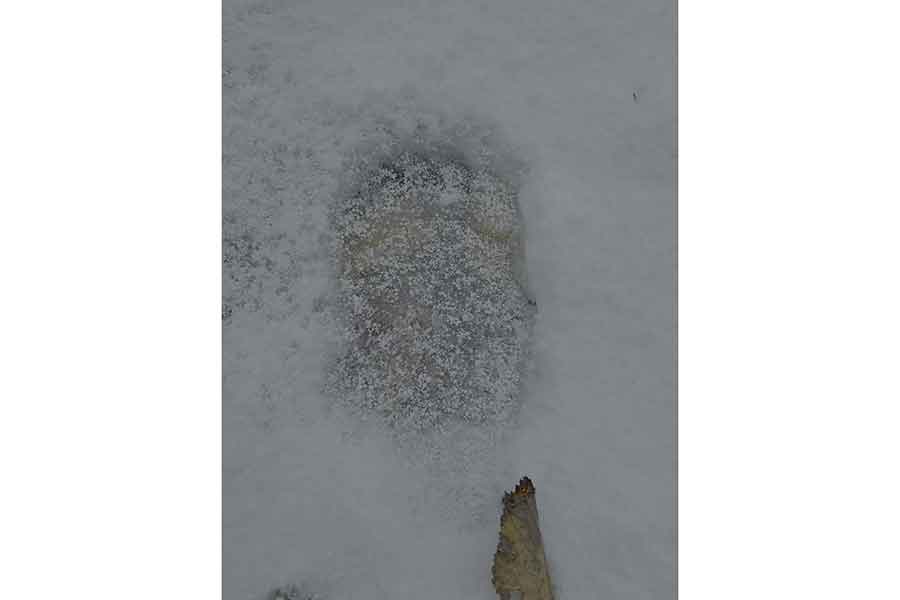 雪の上に残された巨大なヒグマの足跡【写真提供：投稿者】