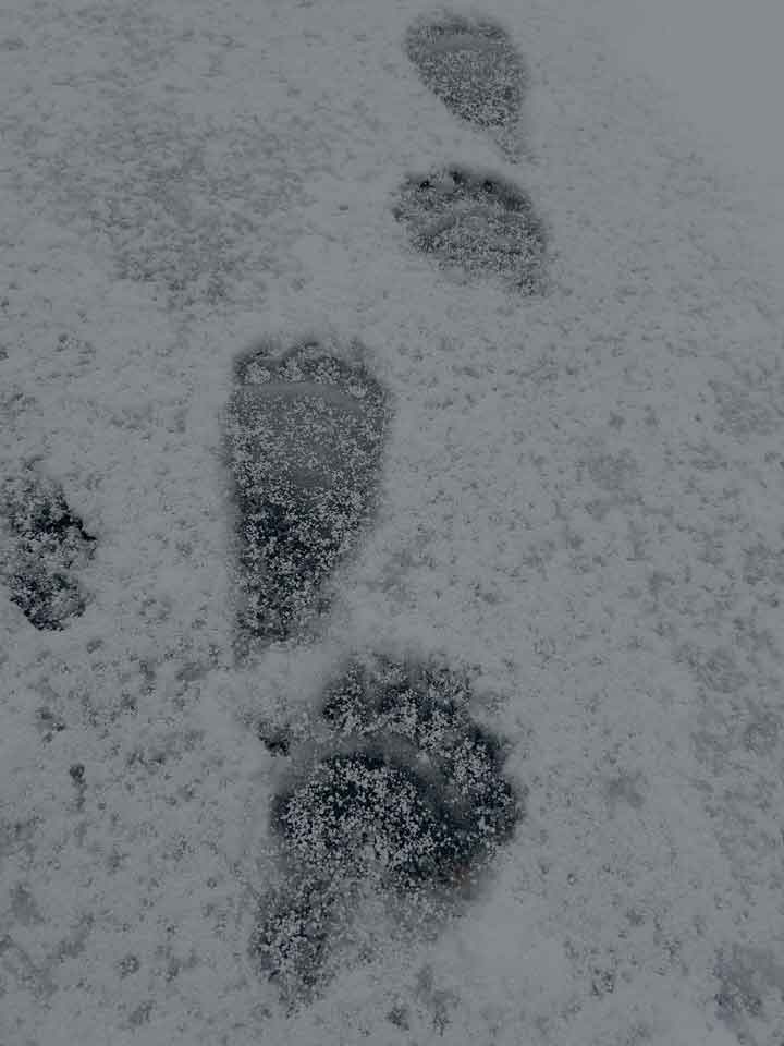 【写真提供：投稿者】