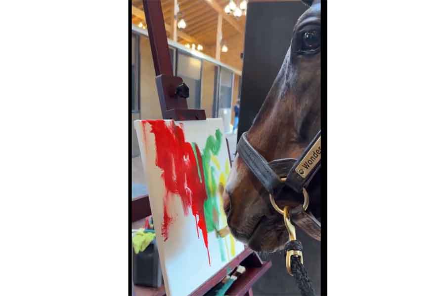 絵筆をくわえて絵を描くワンダーアキュート（スクリーンショット）