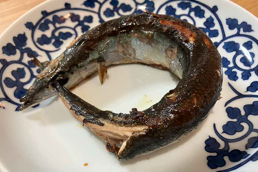 【写真：Hint-Pot編集部】