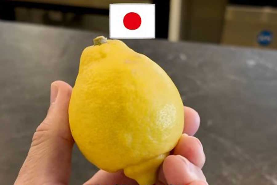日本産のレモンの味に感激（スクリーンショット）
