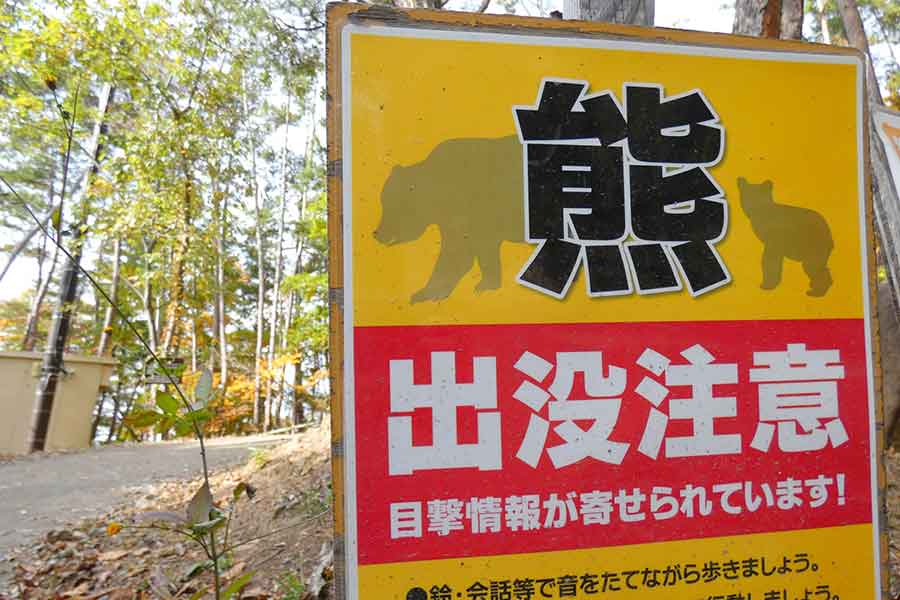クマに遭遇しないような防衛策も必要（写真はイメージ）【写真：写真AC】