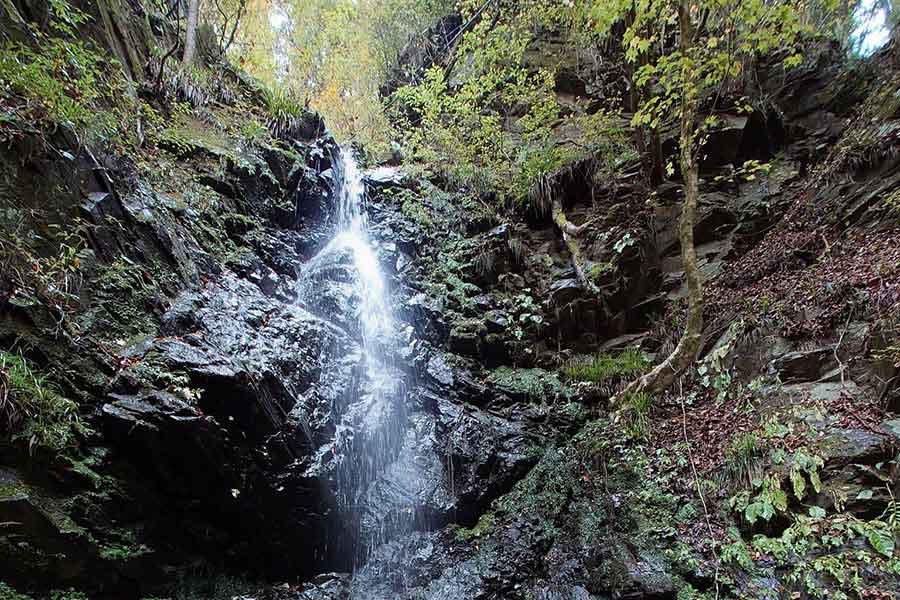 あっきーさんが訪れた、東京都檜原村の龍神の滝【写真提供：あっきー（@yamabocchi）さん】