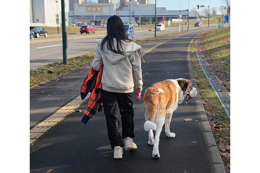 5年経っても仲良しな、娘さんとダンテくん【写真提供：コマチ（@komachi8991）さん】