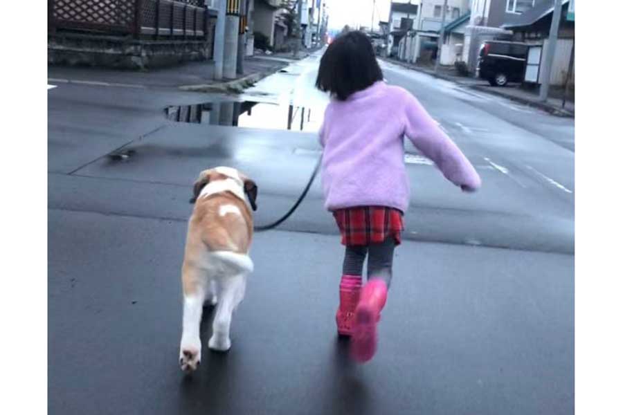 子いぬ時代のダンテくんと小学生の娘さん【写真提供：コマチ（@komachi8991）さん】