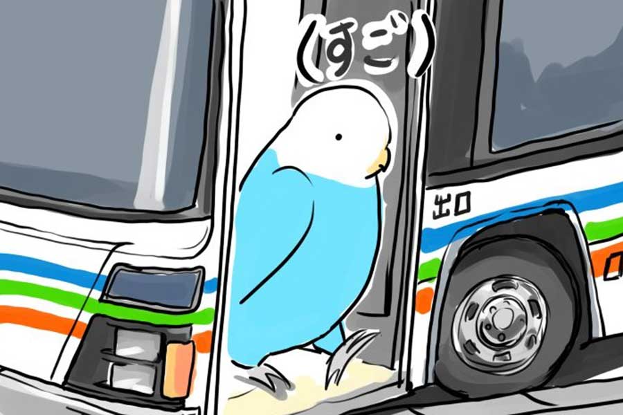 運転手の技術に感激【画像提供：ほし（旅イラスト＆水中写真）（@hoiruka_oekaki）さん】