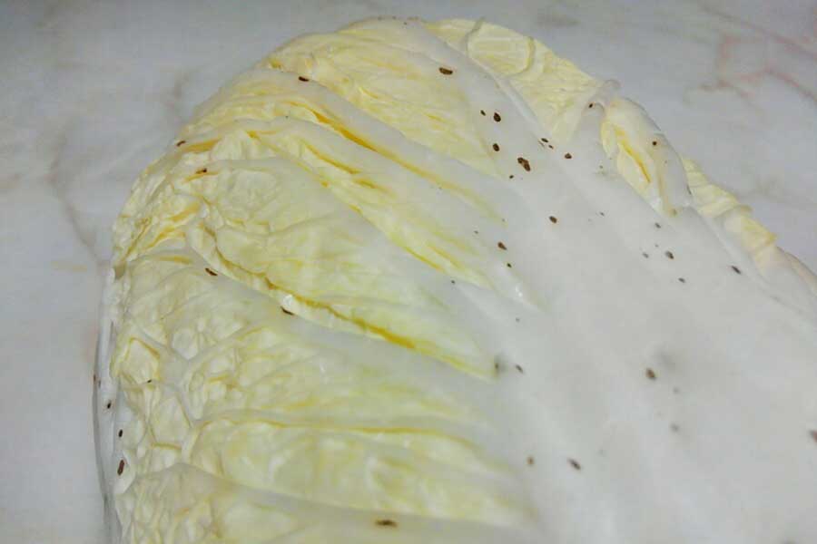 ゴマ症の白菜【写真：写真AC】